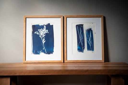 Pack cuadros Clavel del poeta II y Plantas silvestres