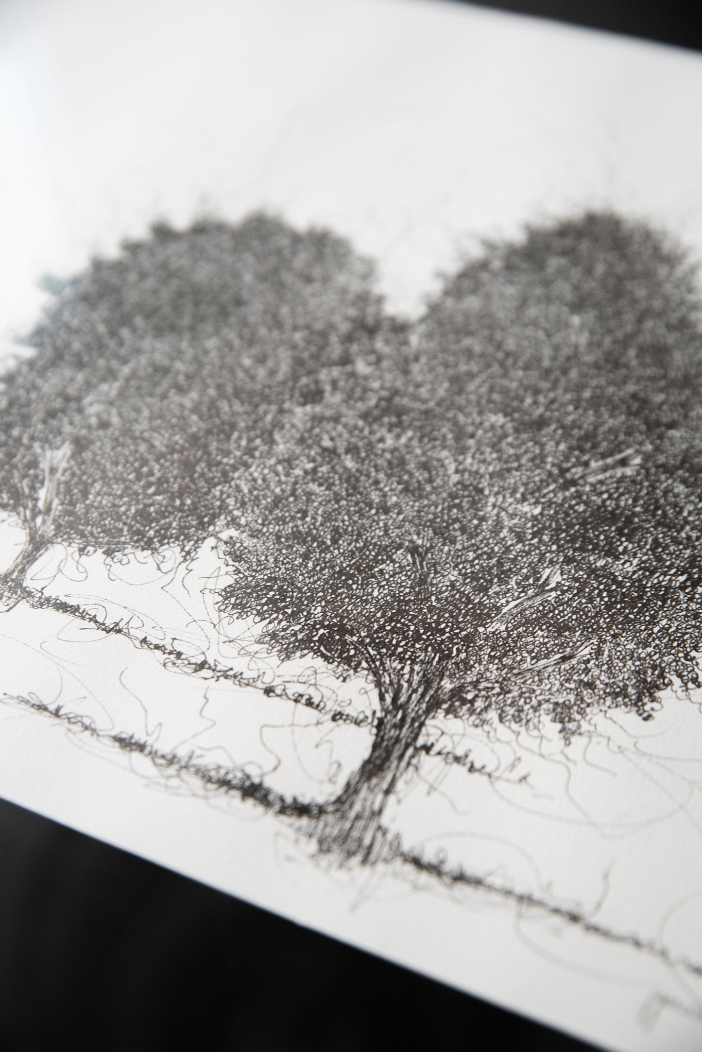 Arboles en tinta