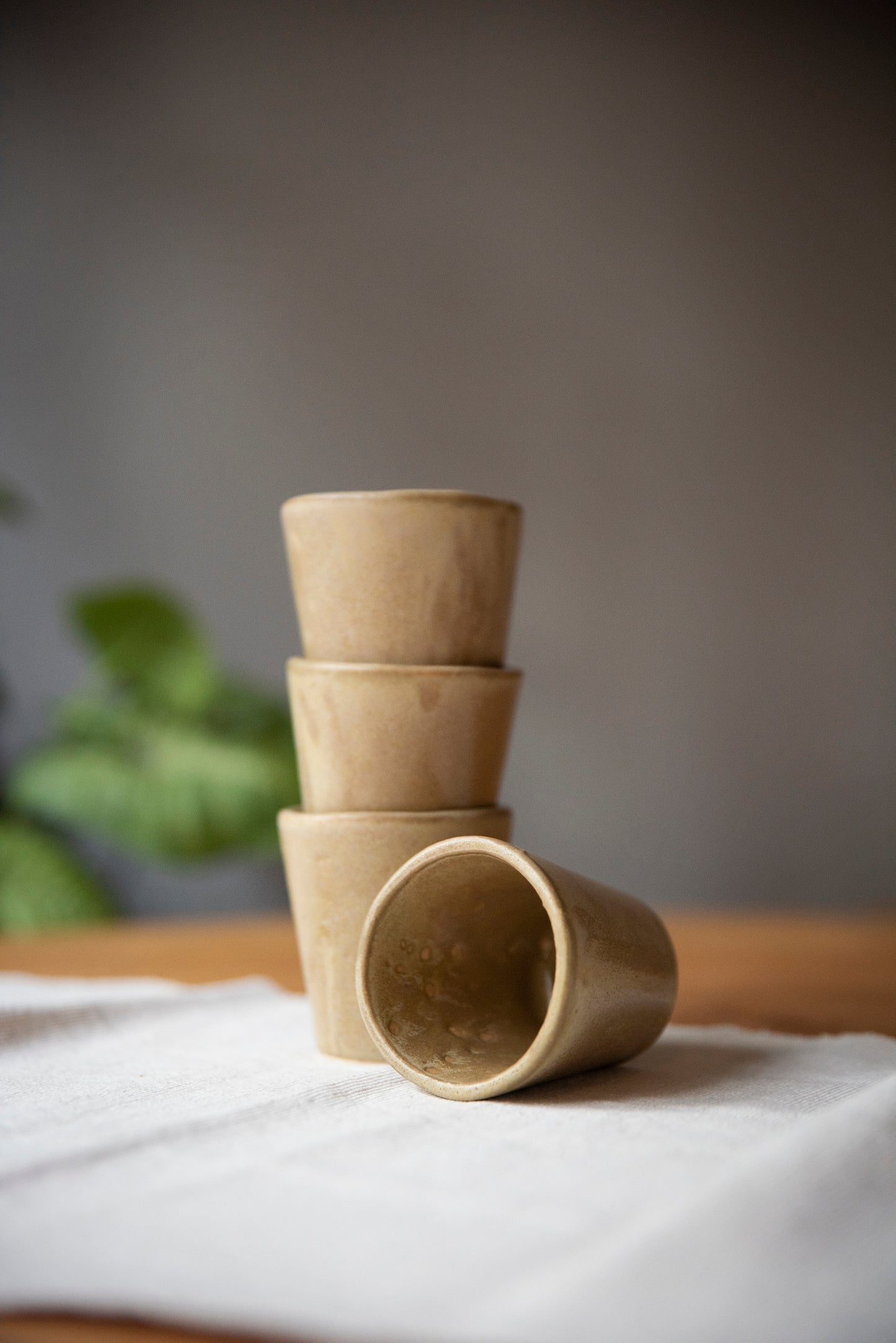 Vasos de cerámica