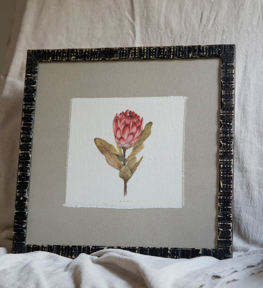 Cuadro Protea