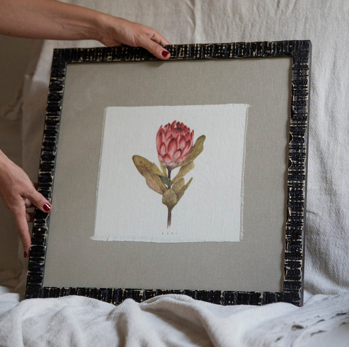 Cuadro Protea