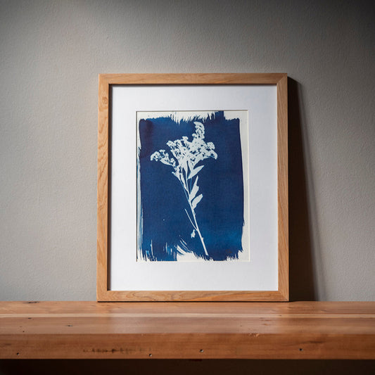 Cuadro Clavel del poeta II