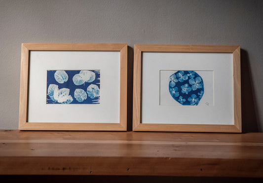 Pack cuadros Hortensias y Bugambilia