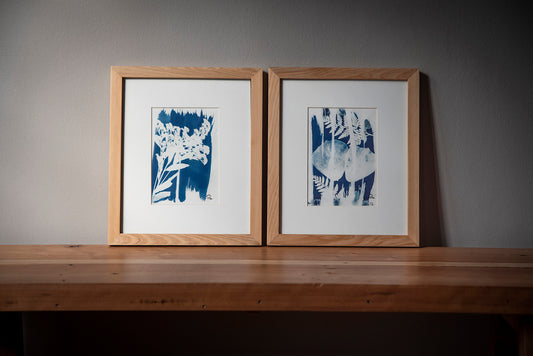 Pack cuadros Clavel del poeta I y Helechos y pétalos de rosa