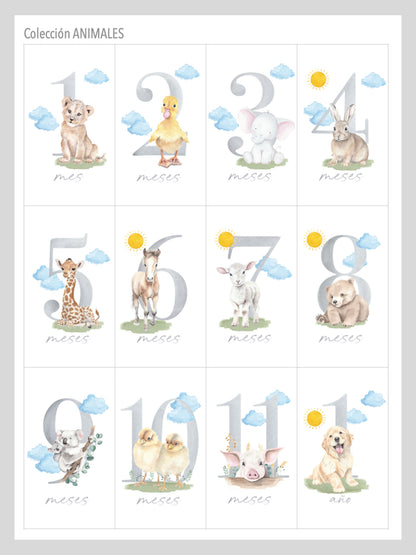 Tarjetas Cumple Mes