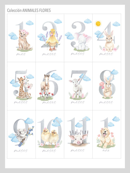 Tarjetas Cumple Mes