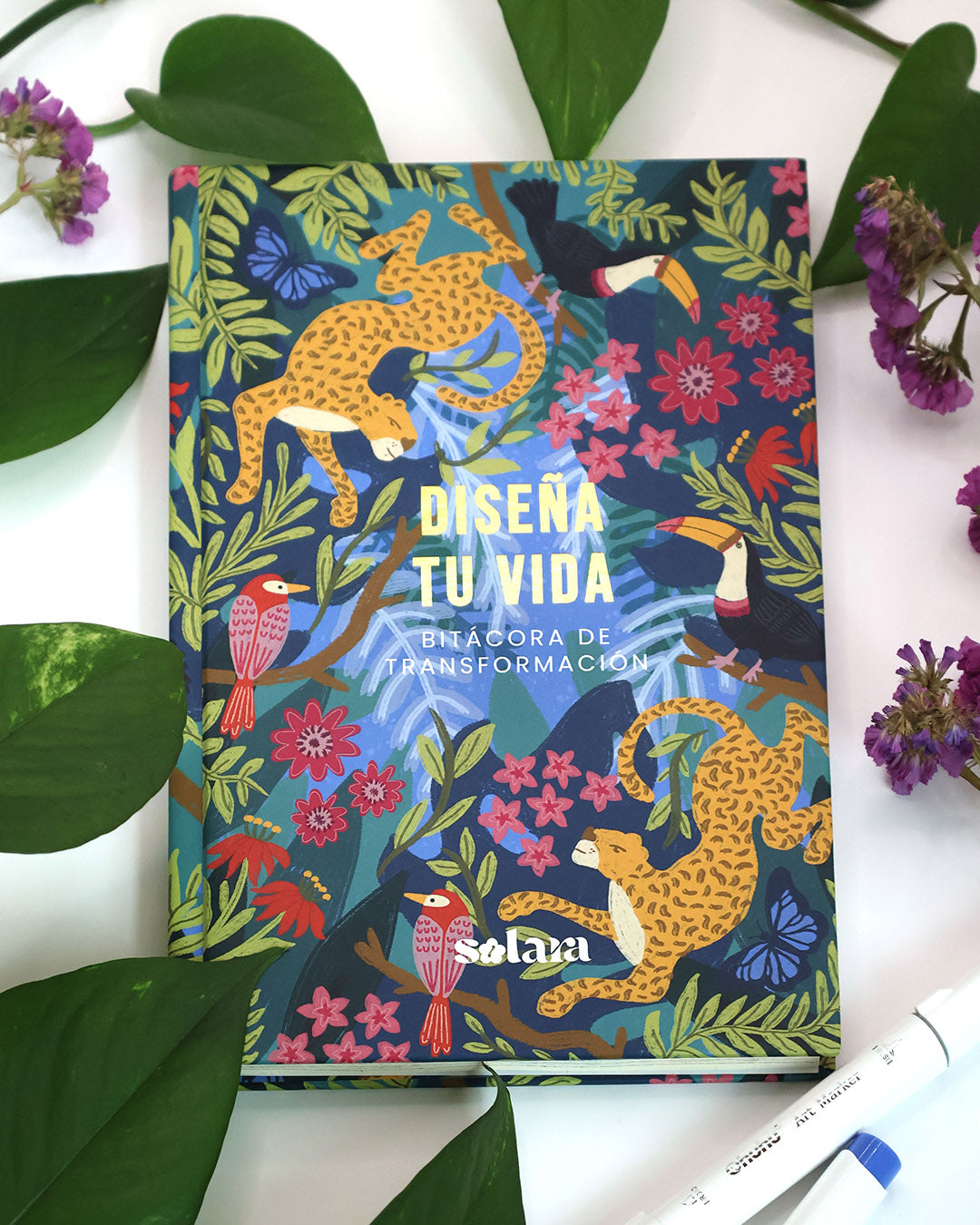 Bitácora "Diseña tu Vida"