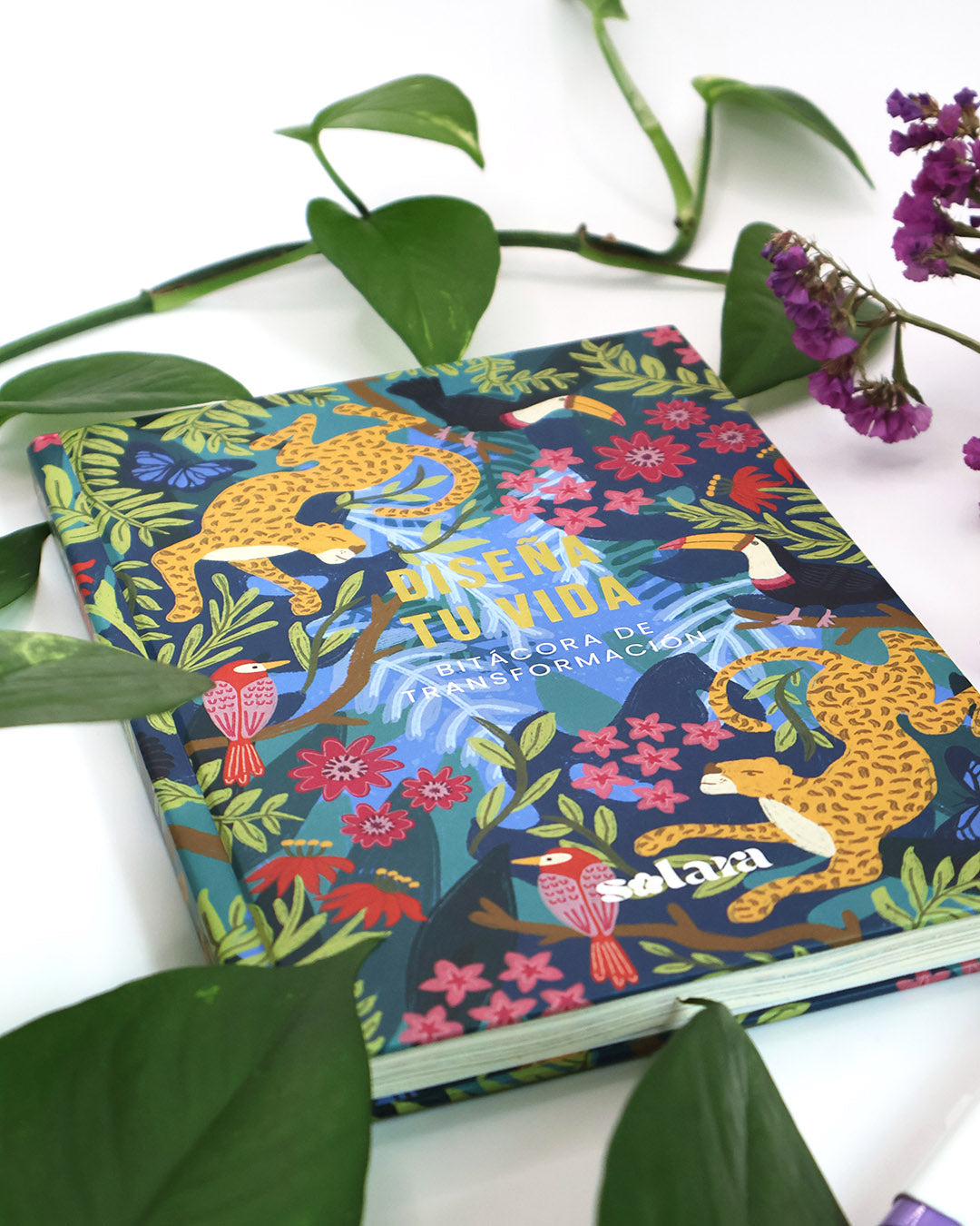 Bitácora "Diseña tu Vida"