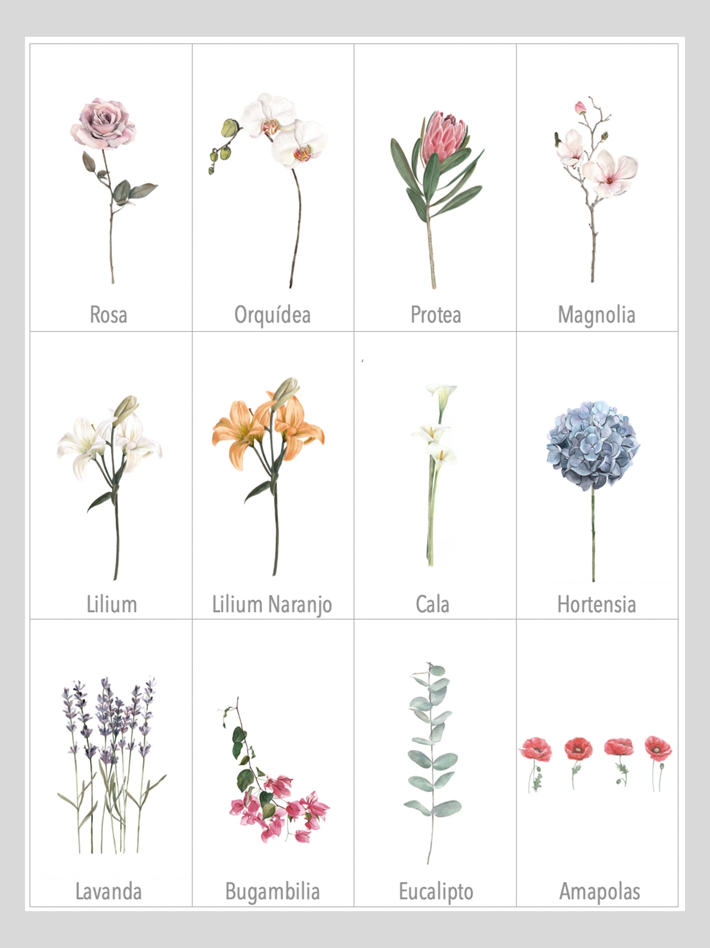 Santitos en acuarela