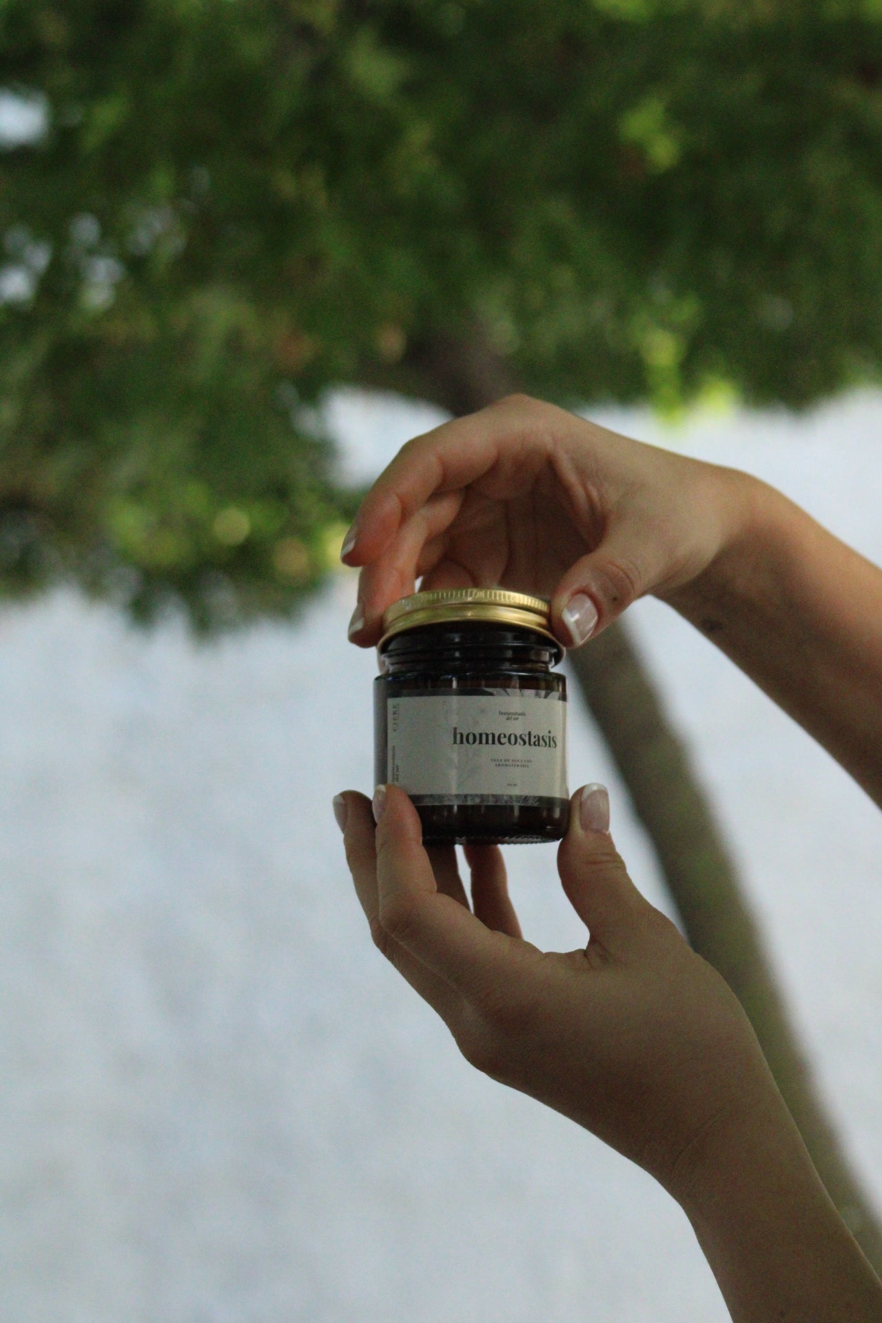 Vela aromaterapia Homeostasis