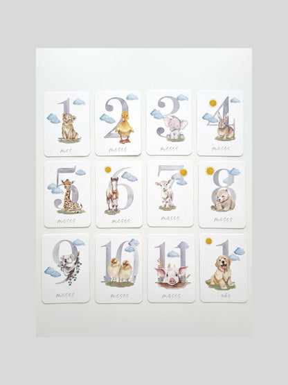 Tarjetas Cumple Mes