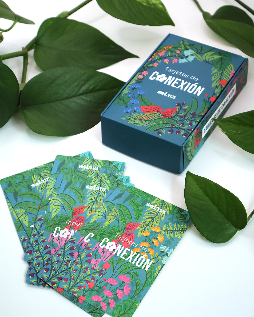 Tarjetas de conexión