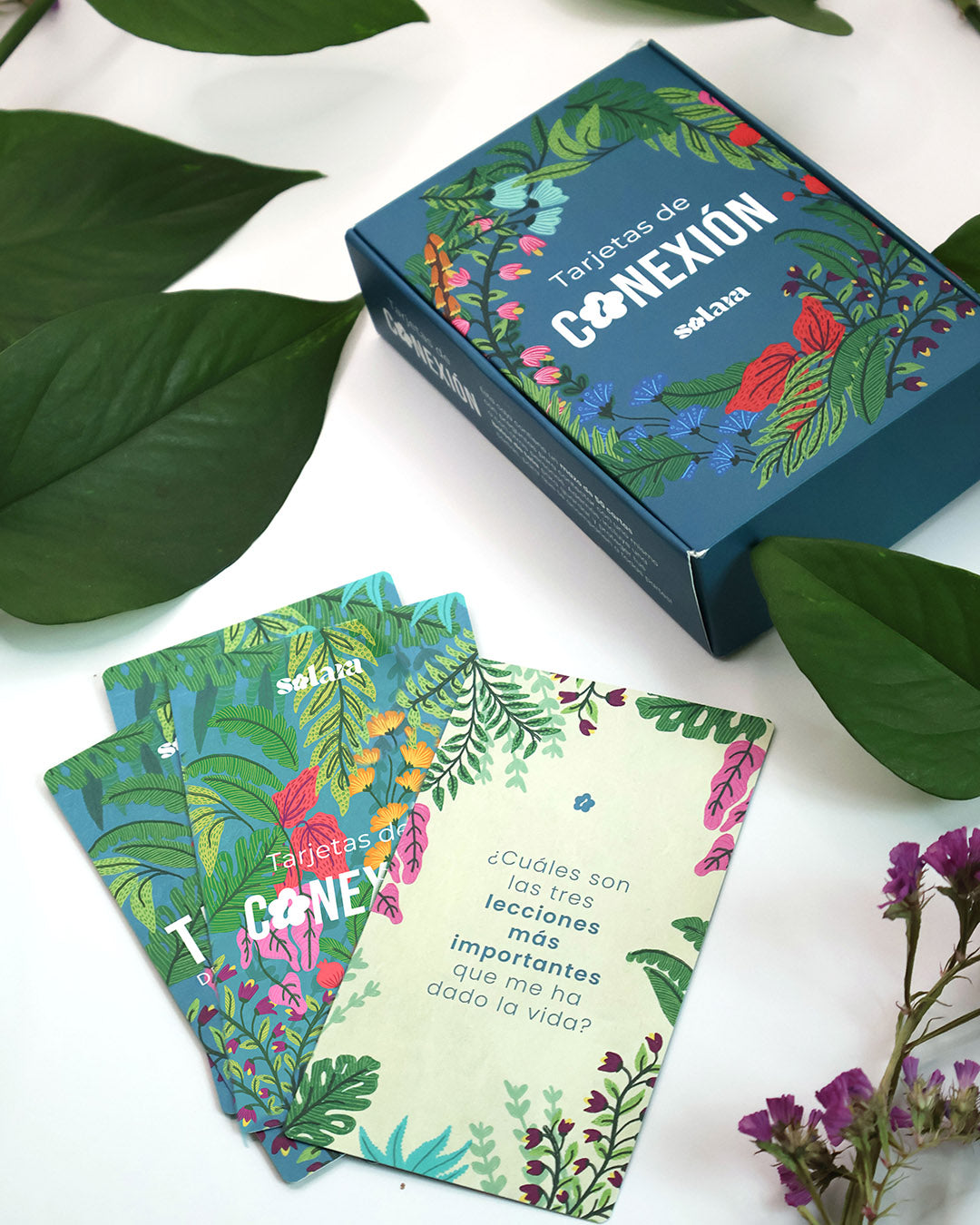 Tarjetas de conexión