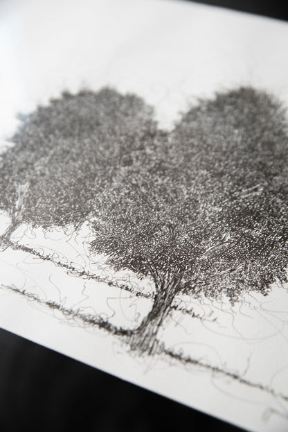Arboles en tinta