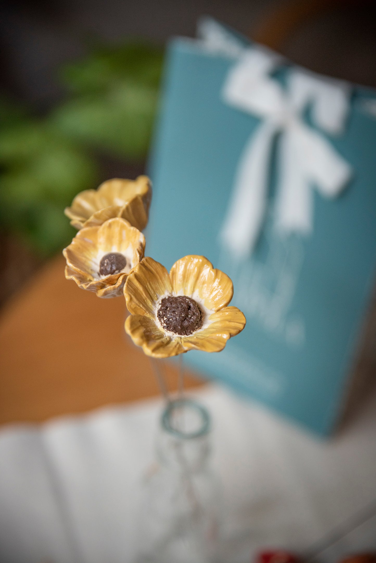 Pack "Gracias mamá por acompañarme a florecer"