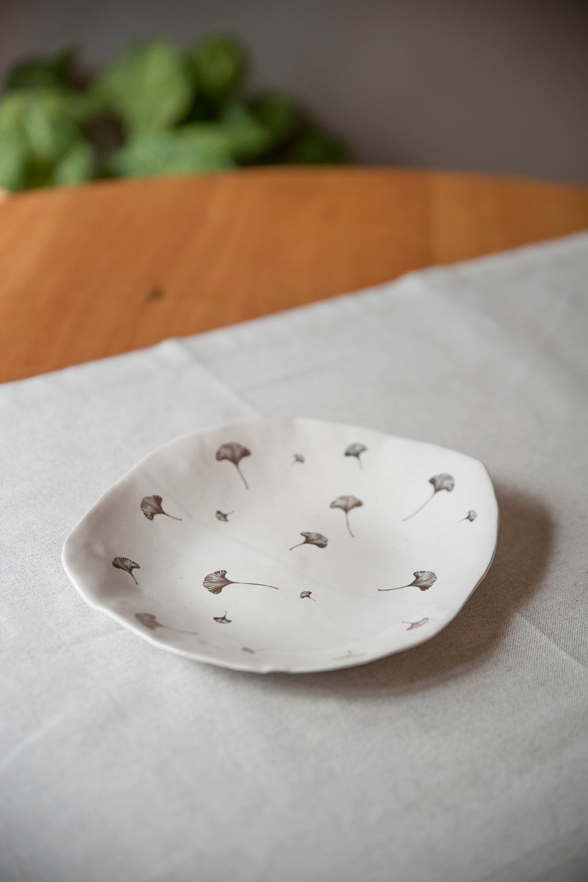 Platos de Oro Ginkgo